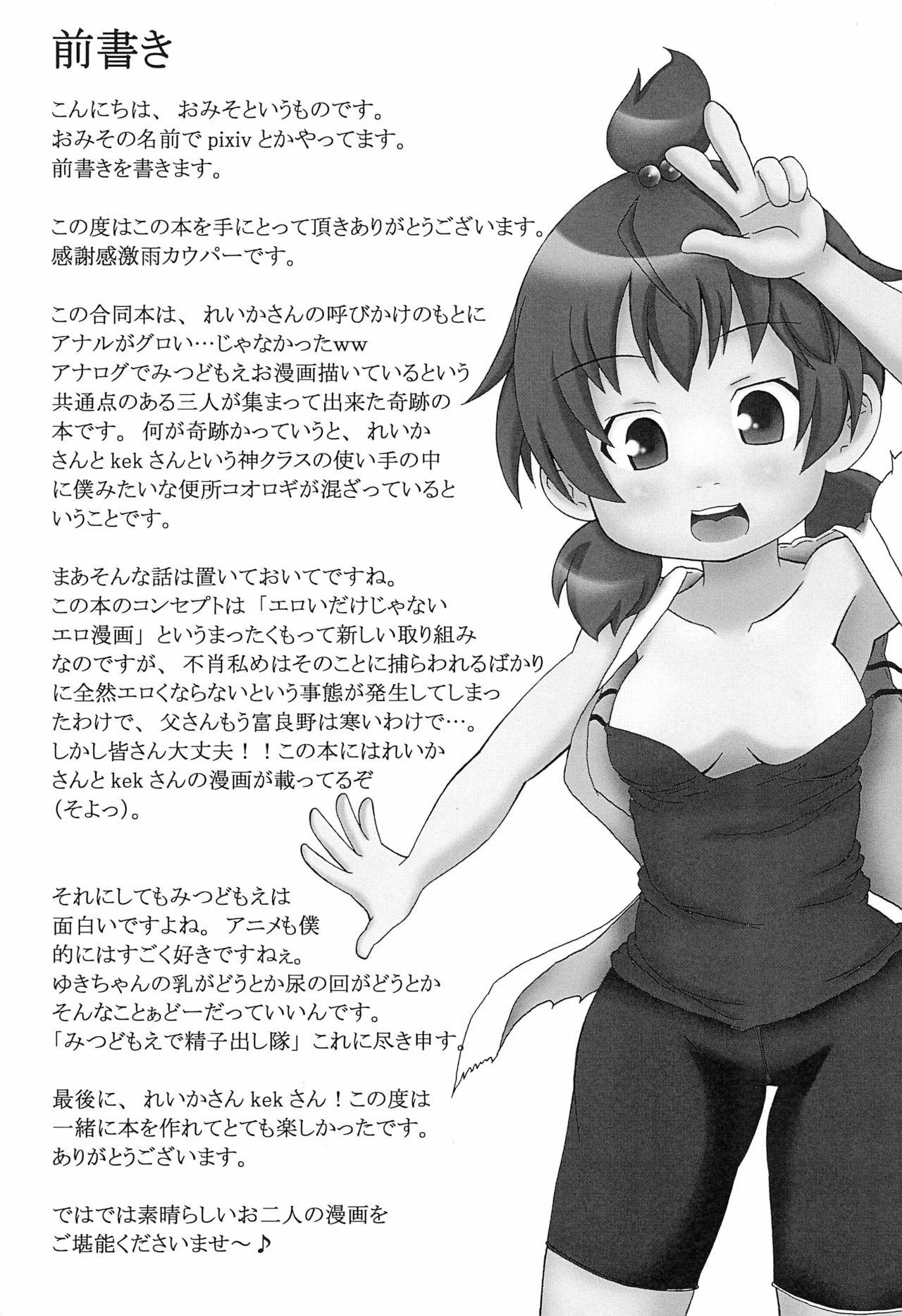 Flashing 3 story - Mitsudomoe Stepsister - Page 3