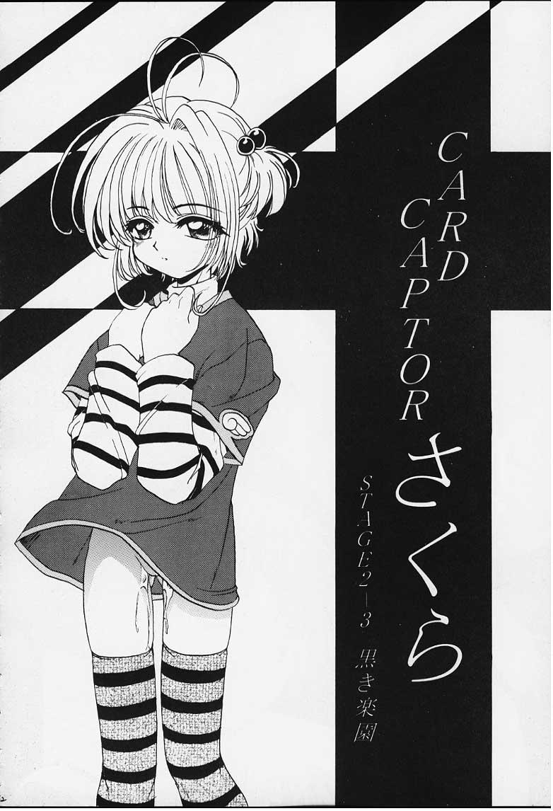 STALE WORLD IX&X Card Captor Sakura vol.3&4 REMIX 11