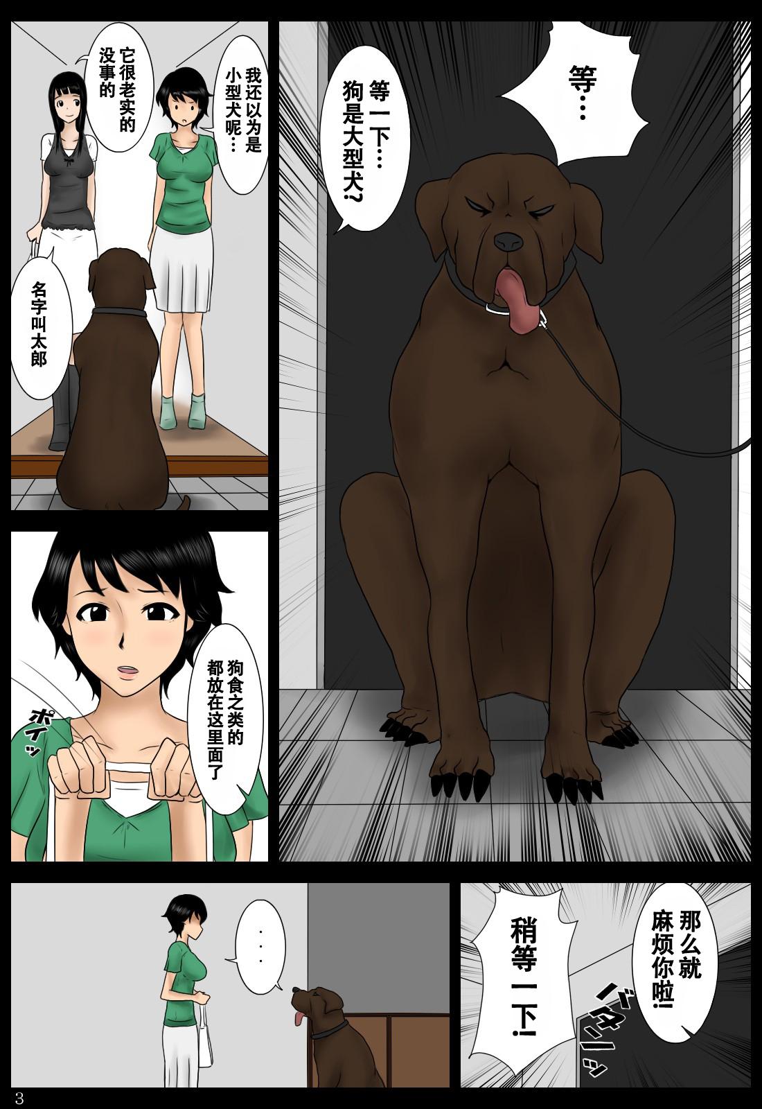 Azukatta Inu | 寄养的狗 2