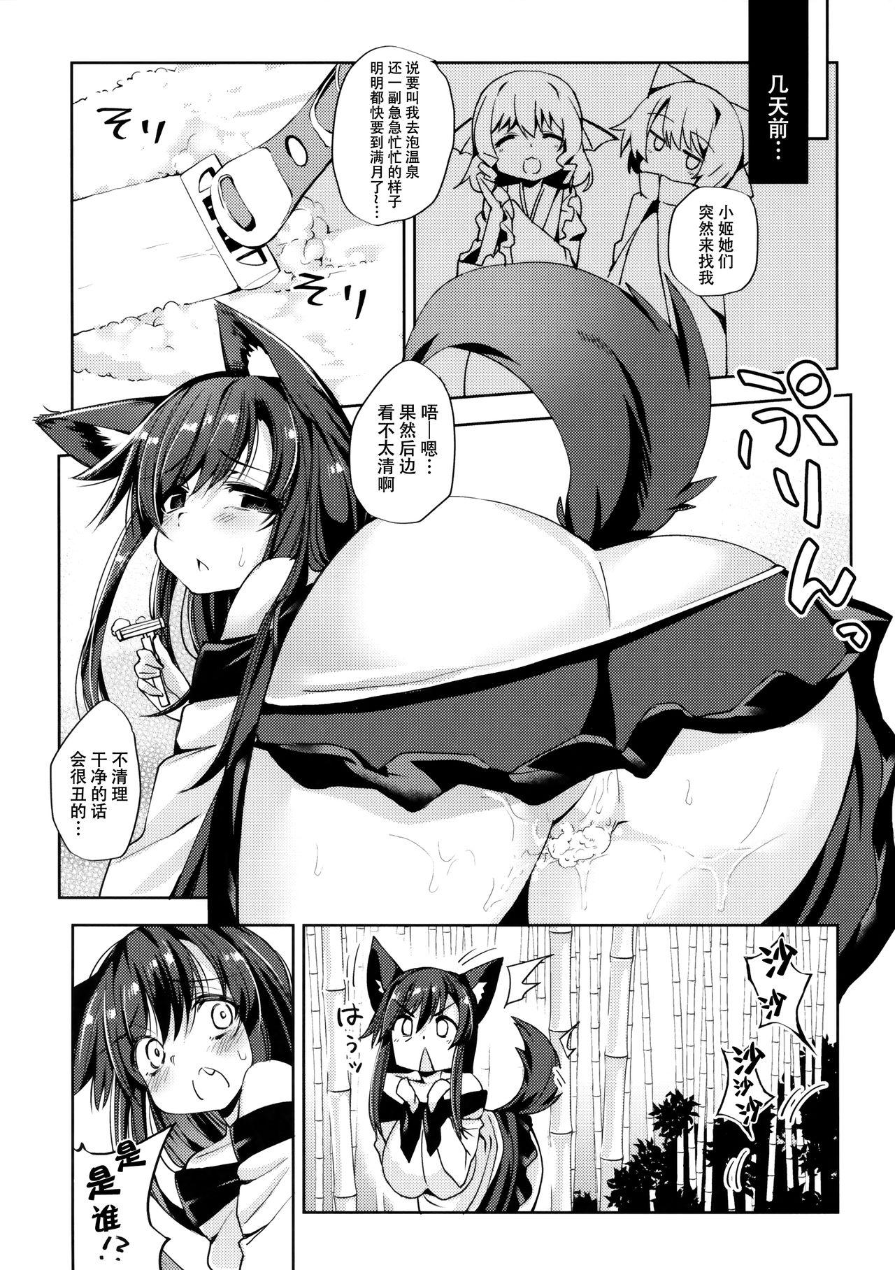 Fat Ookami-san wa Kowakunai! - Touhou project Euro - Page 4