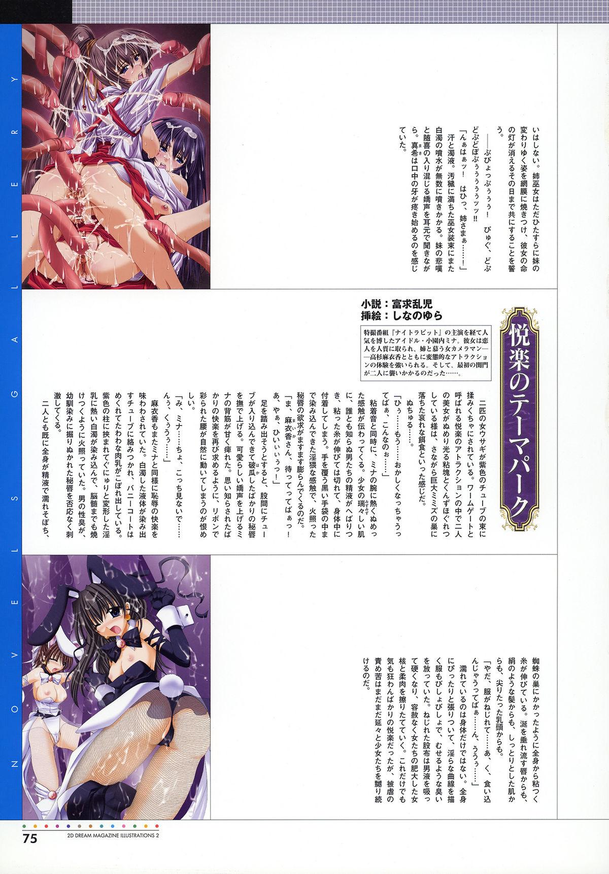Nijigen Dream Magazine Illustrations #2 76