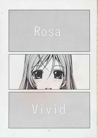 RV - Rosa Viva 3
