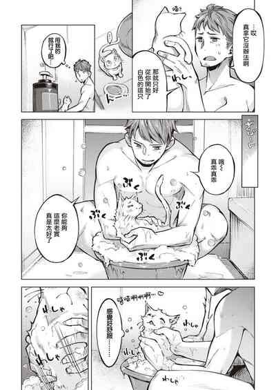 Oyukake Nyanko | 不想洗澡的小猫 3