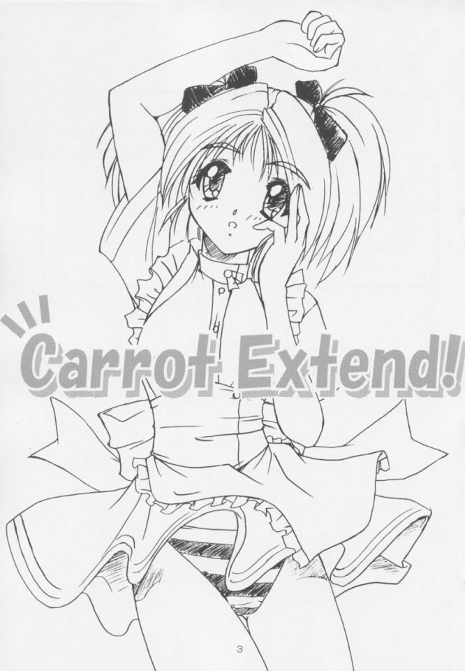 Carrot Extend! 1