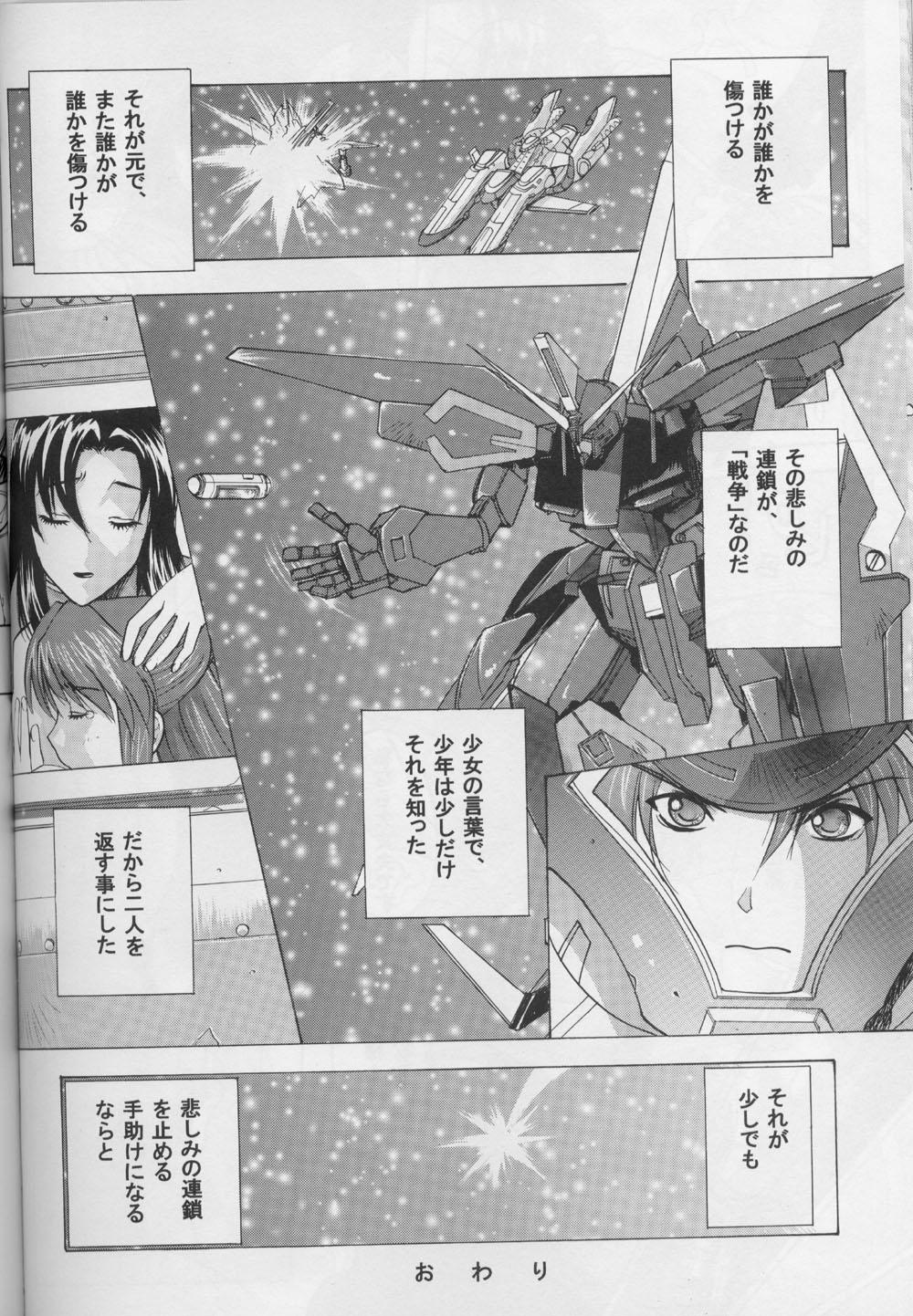 Hot Girls Getting Fucked G-SEED girls - Gundam seed Teentube - Page 46