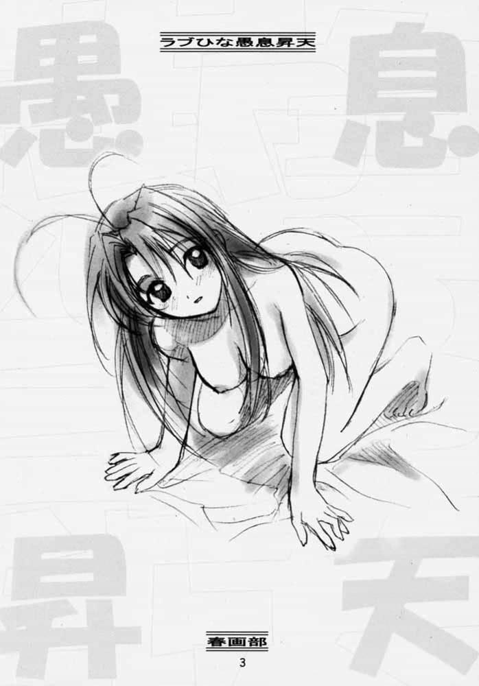 Brasileira Gusoku Shouten - Love hina Oldyoung - Page 2