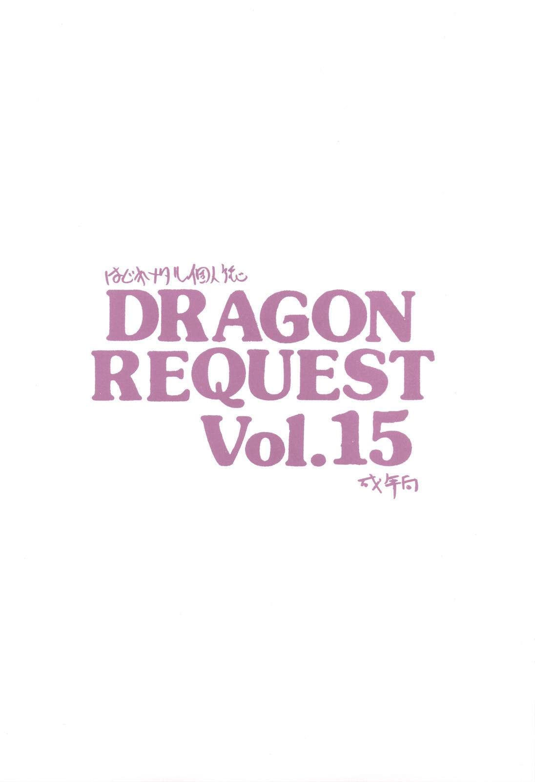 DRAGON REQUEST Vol. 15 19