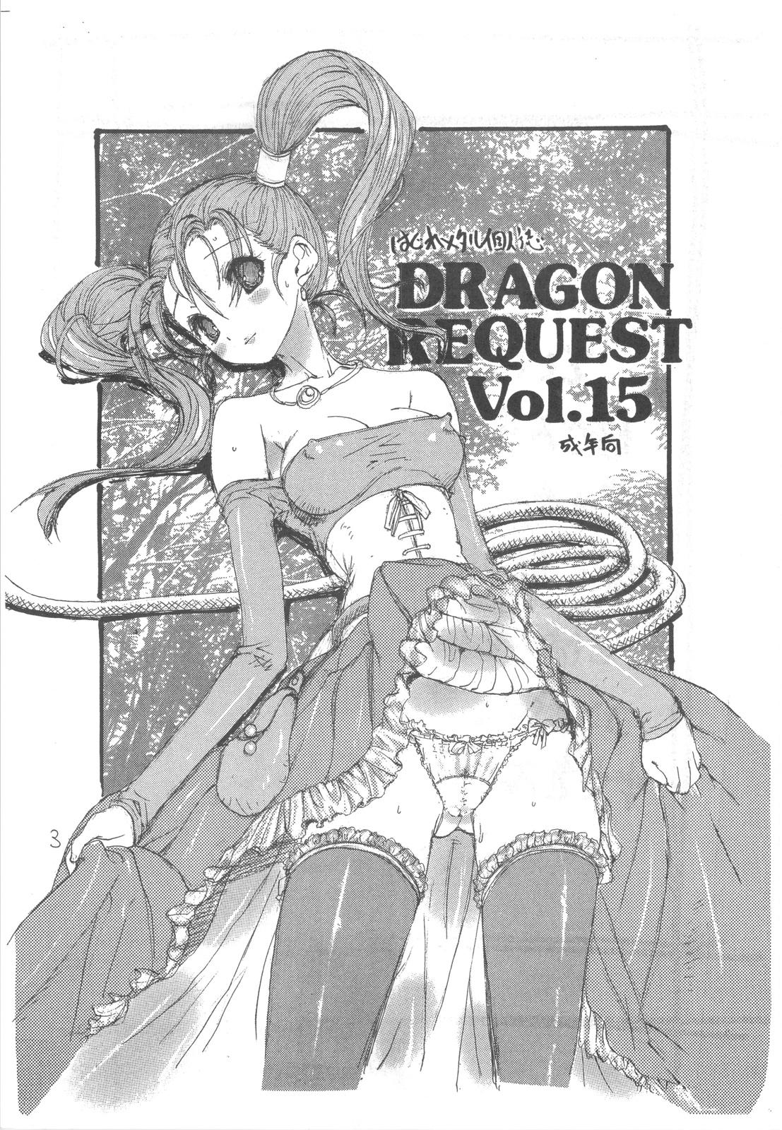 DRAGON REQUEST Vol. 15 2