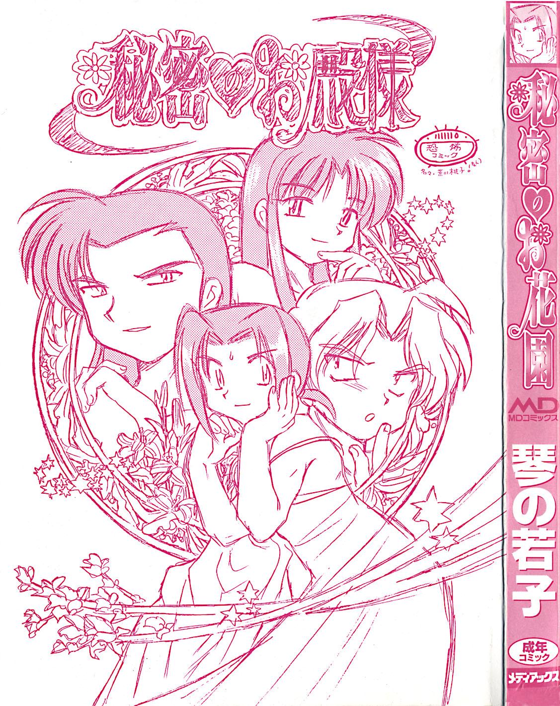 Affair Himitsu no Ohanazono Gaygroupsex - Page 3