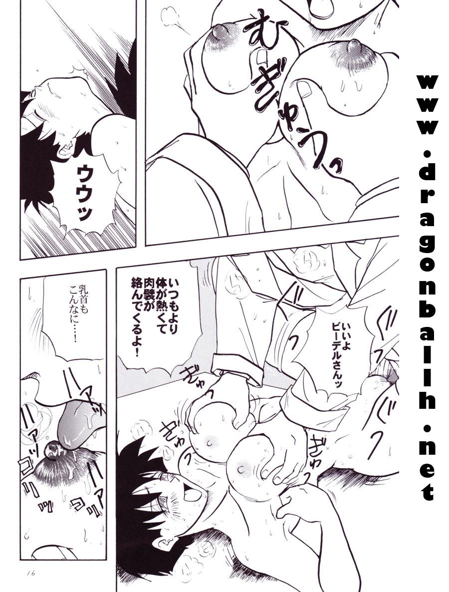 Dragon Ball Z - Wakayo 16