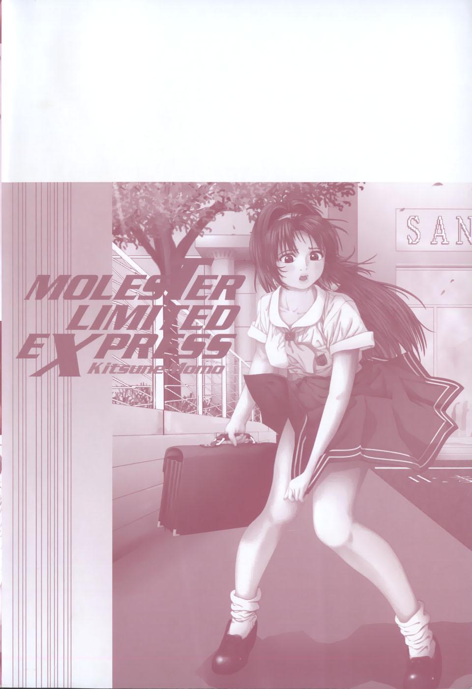 Chikan Tokkyuu | Molester Limited Express 179