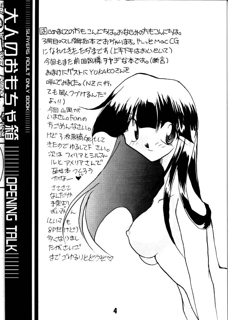 Culito Otona no Omocha Hako - Slayers Sexy Sluts - Page 3