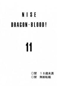 Nise Dragon Blood 11 2