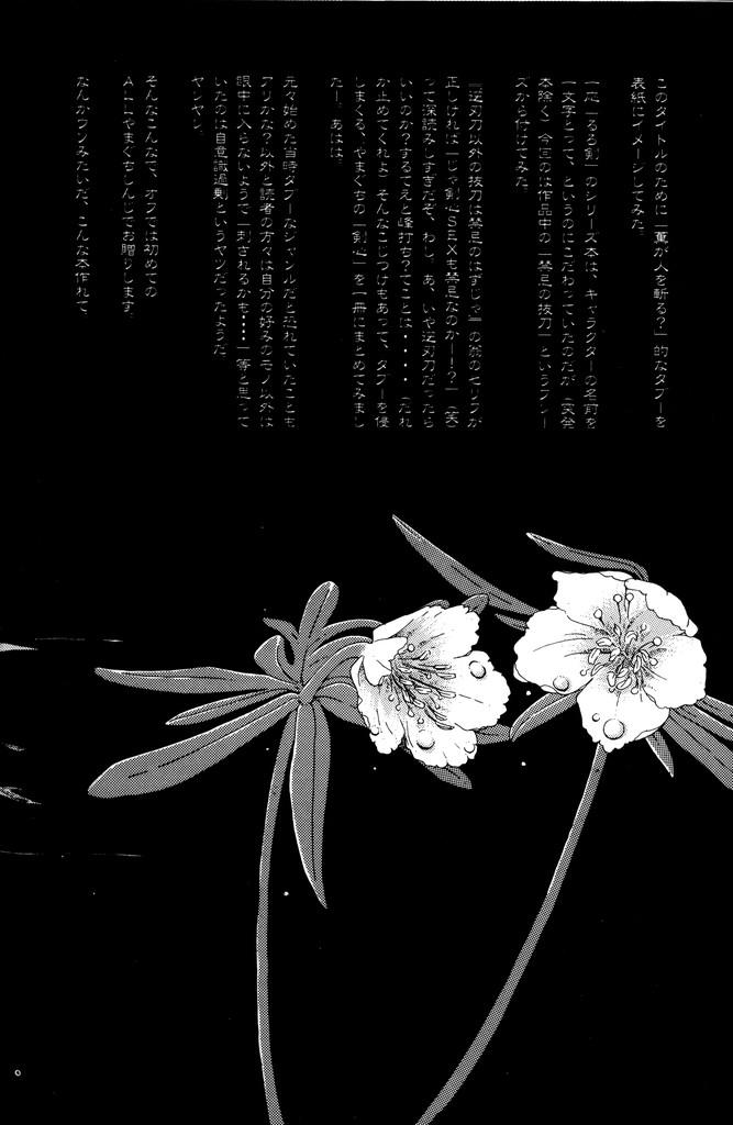 Hermosa Kinki - Rurouni kenshin Flash - Page 6