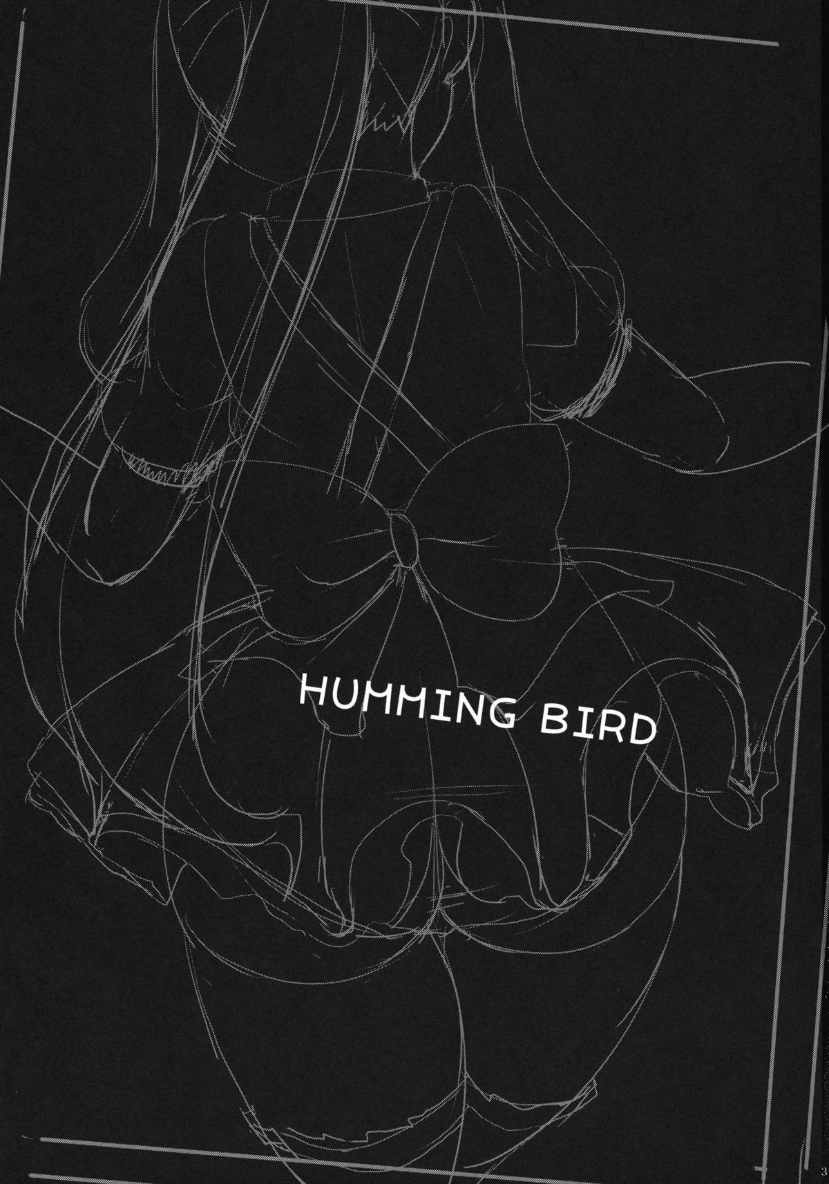 HUMMING BIRD 2