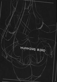 HUMMING BIRD 3
