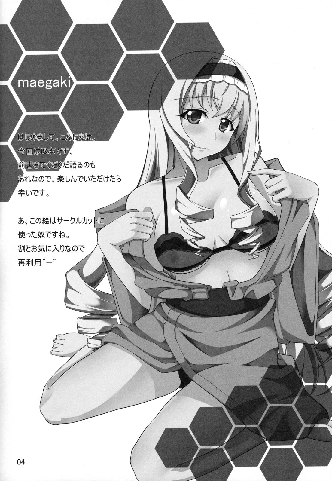 Role Play IS - Infinite stratos Hardfuck - Page 3