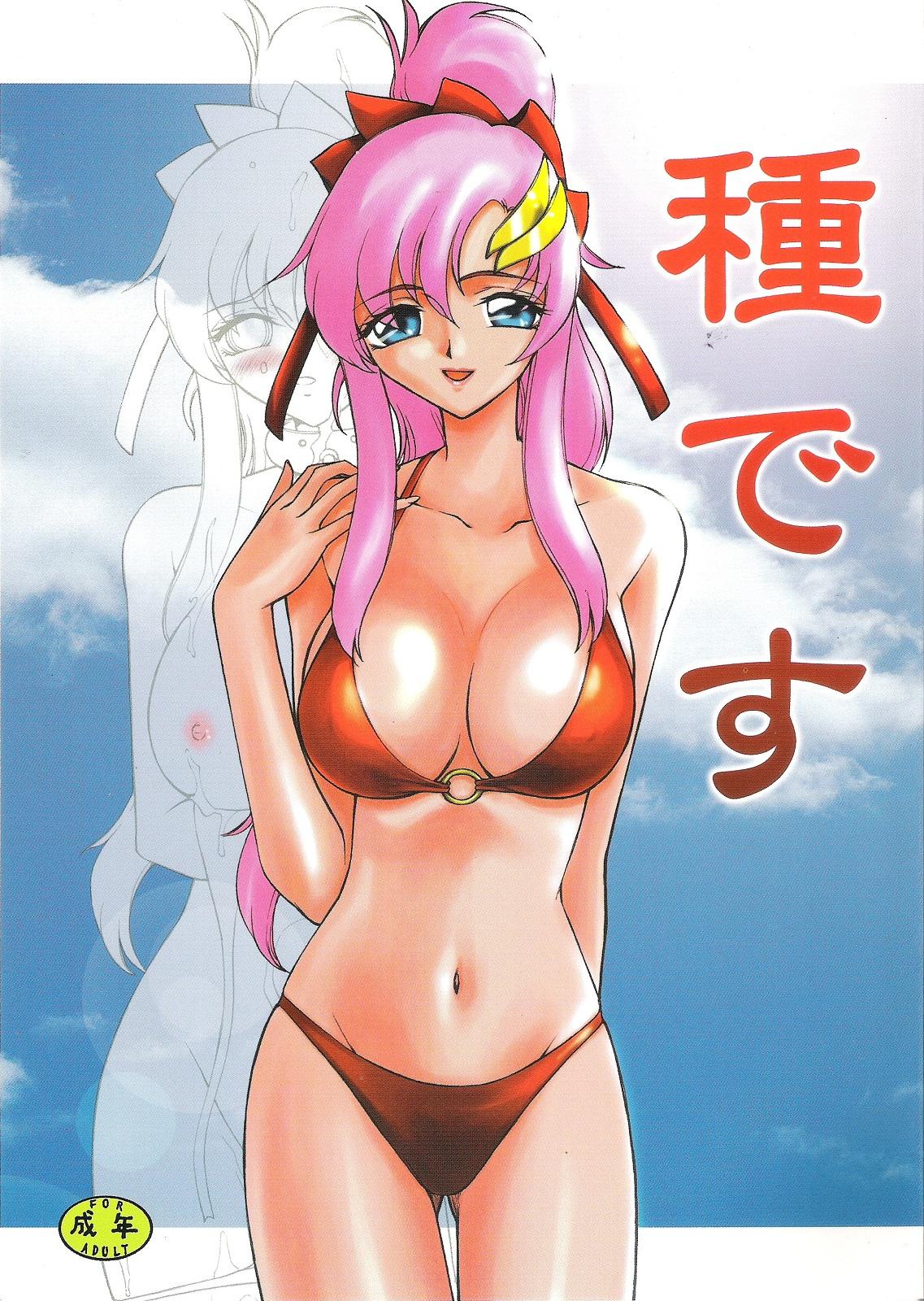 Public Sex Tane desu - Gundam seed destiny Moaning - Page 1