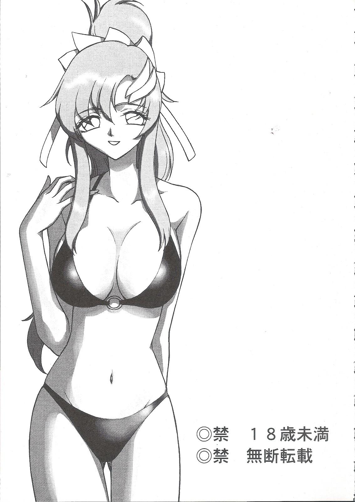 Gayporn Tane desu - Gundam seed destiny Step Fantasy - Page 4