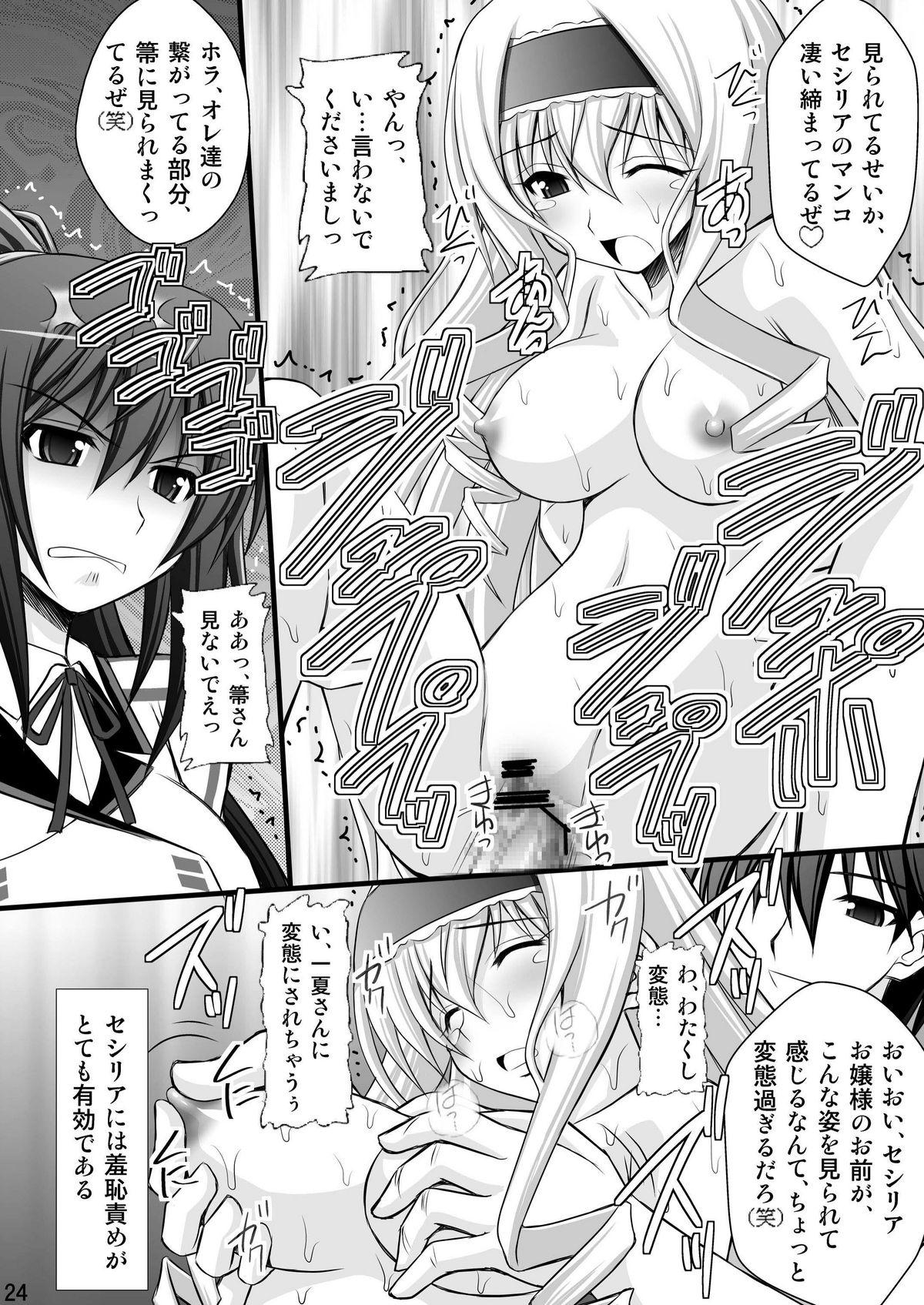 Stepdaughter Ichika no Choukyou Nisshi - Infinite stratos Naked Sluts - Page 21