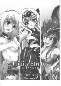 Trinity Stratos 3