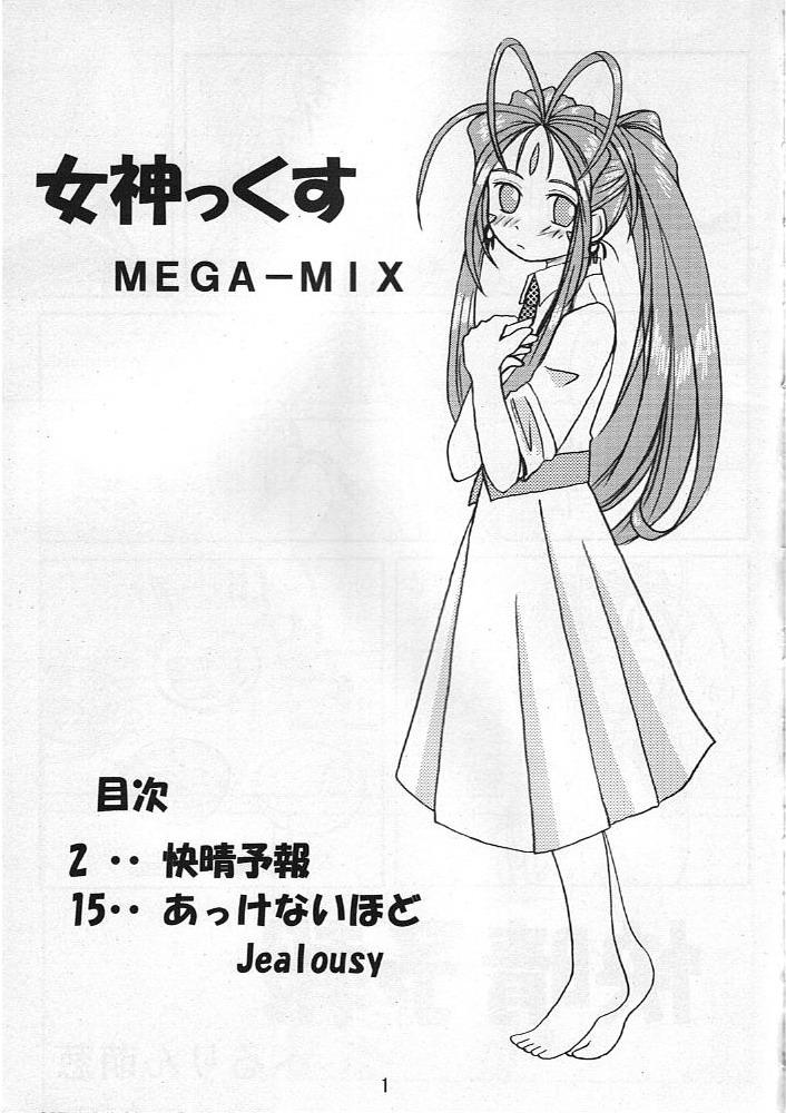 MEGA-MIX 1