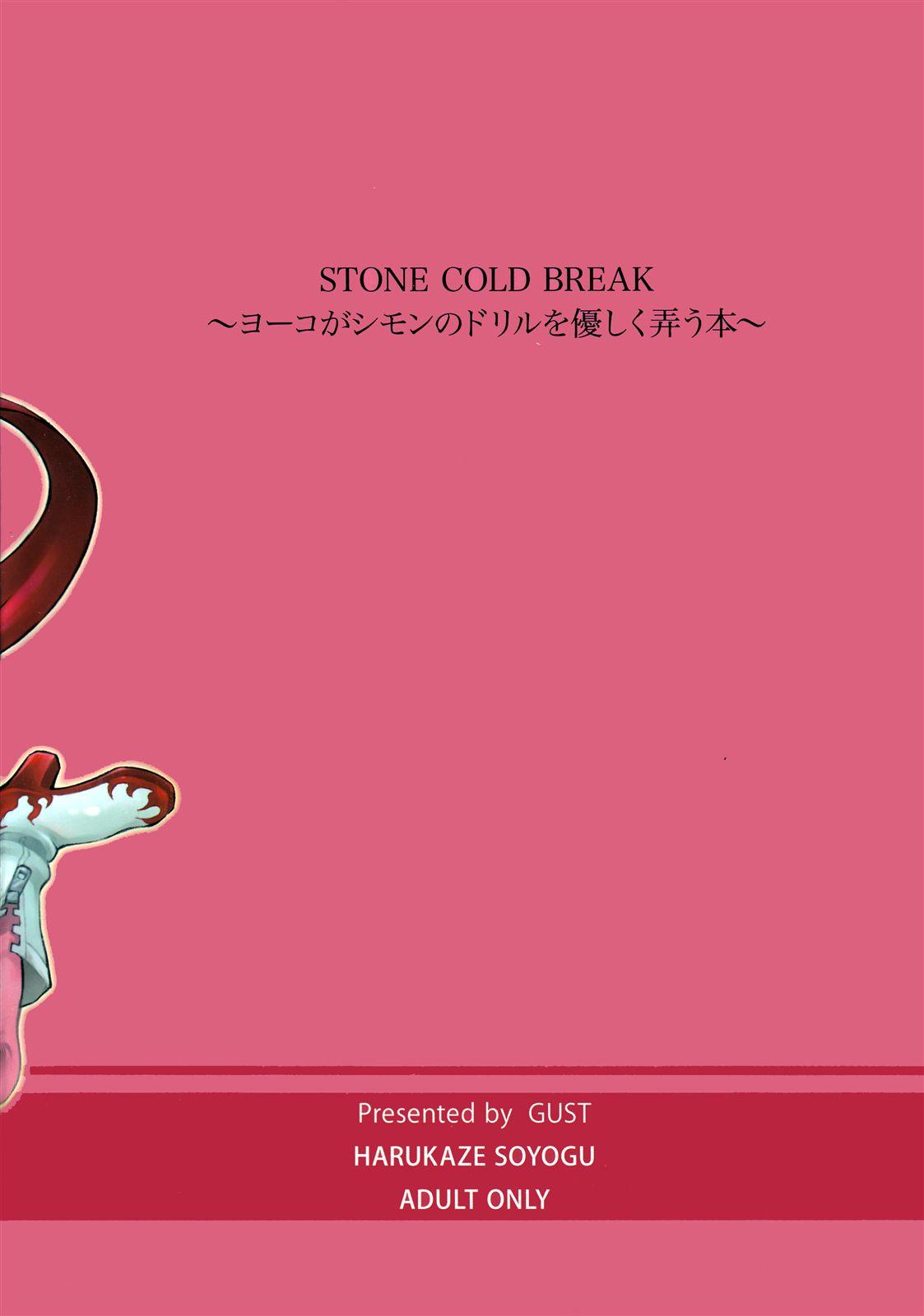 Stone Cold Break 17