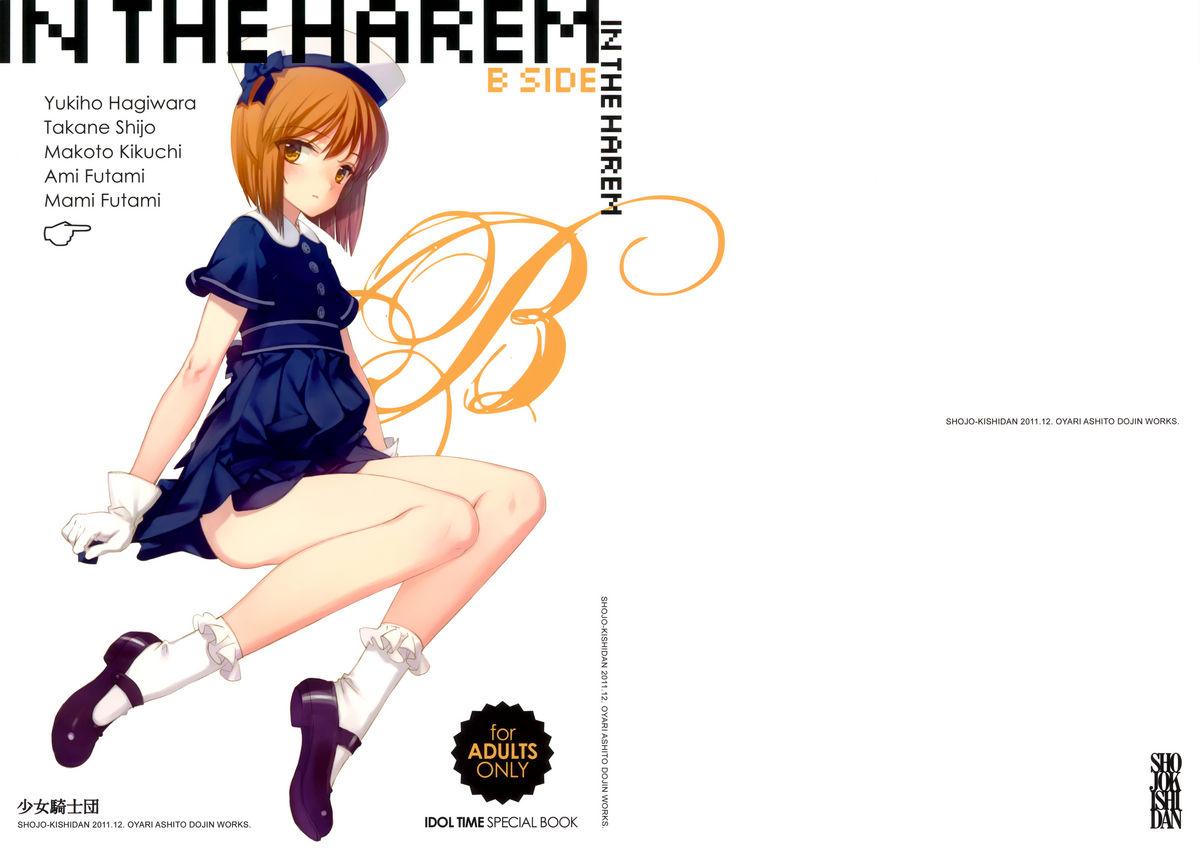 IN THE HAREM B SIDE 0