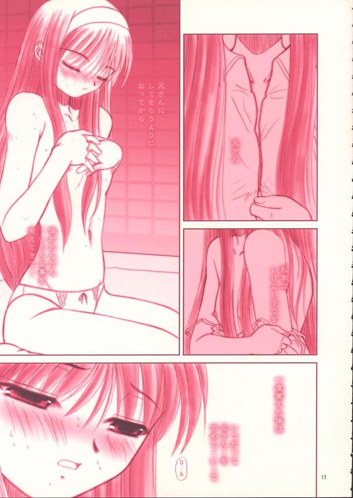 Pink Kurenai Red - Tsukihime Bbw - Page 12