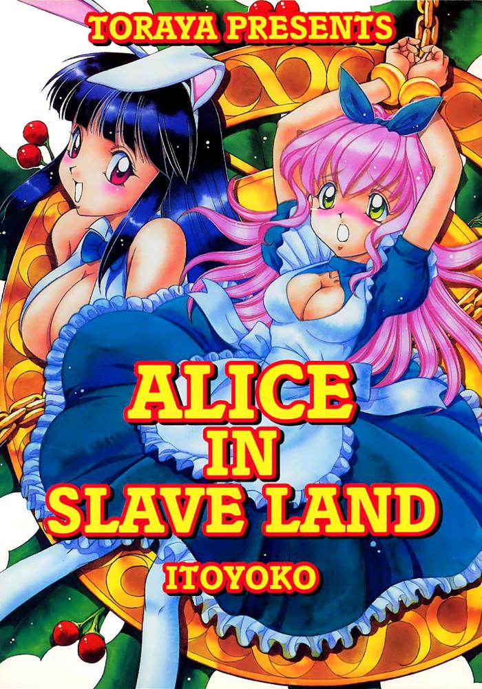 Alice in Slave Land 0