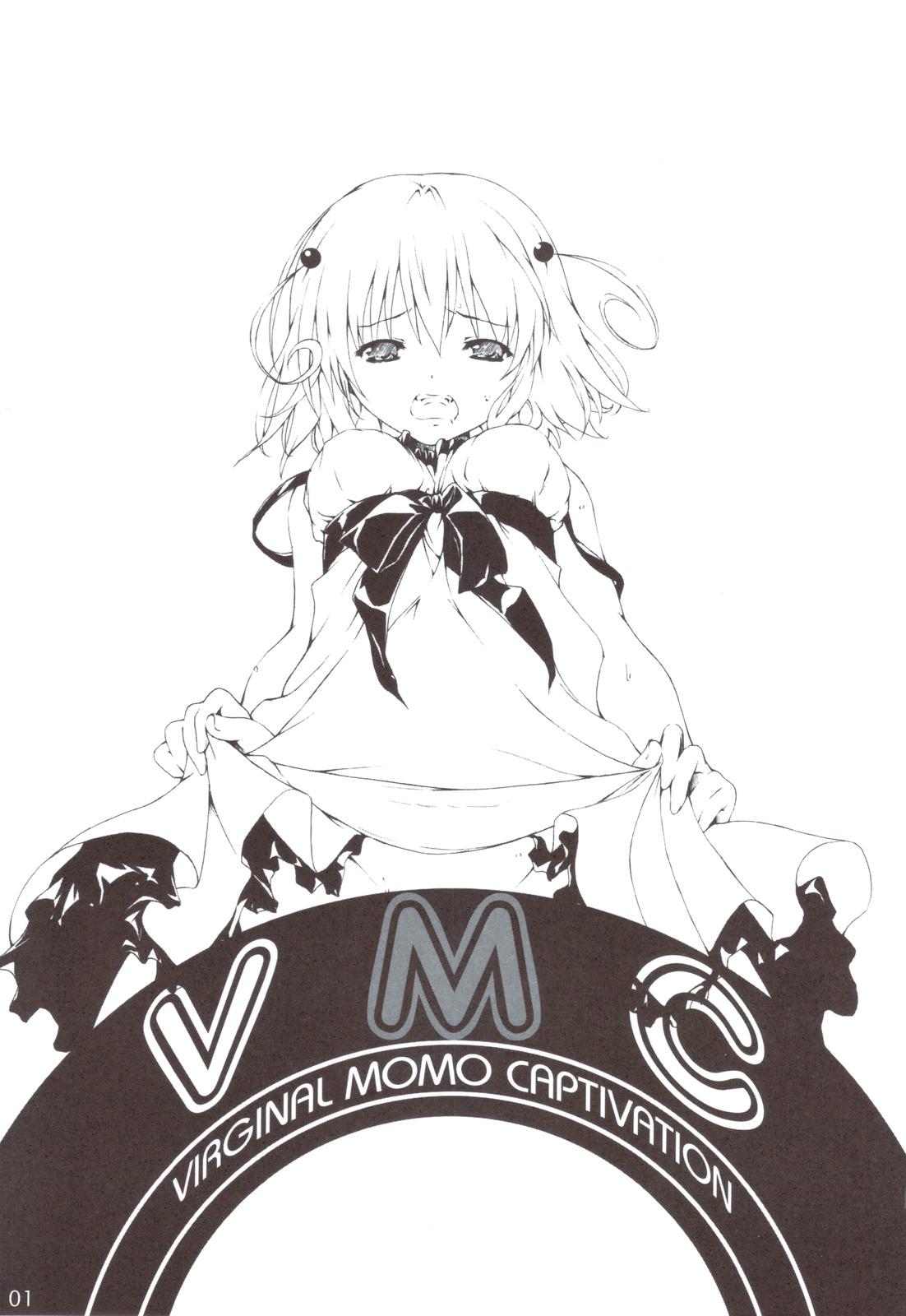 VMC 1