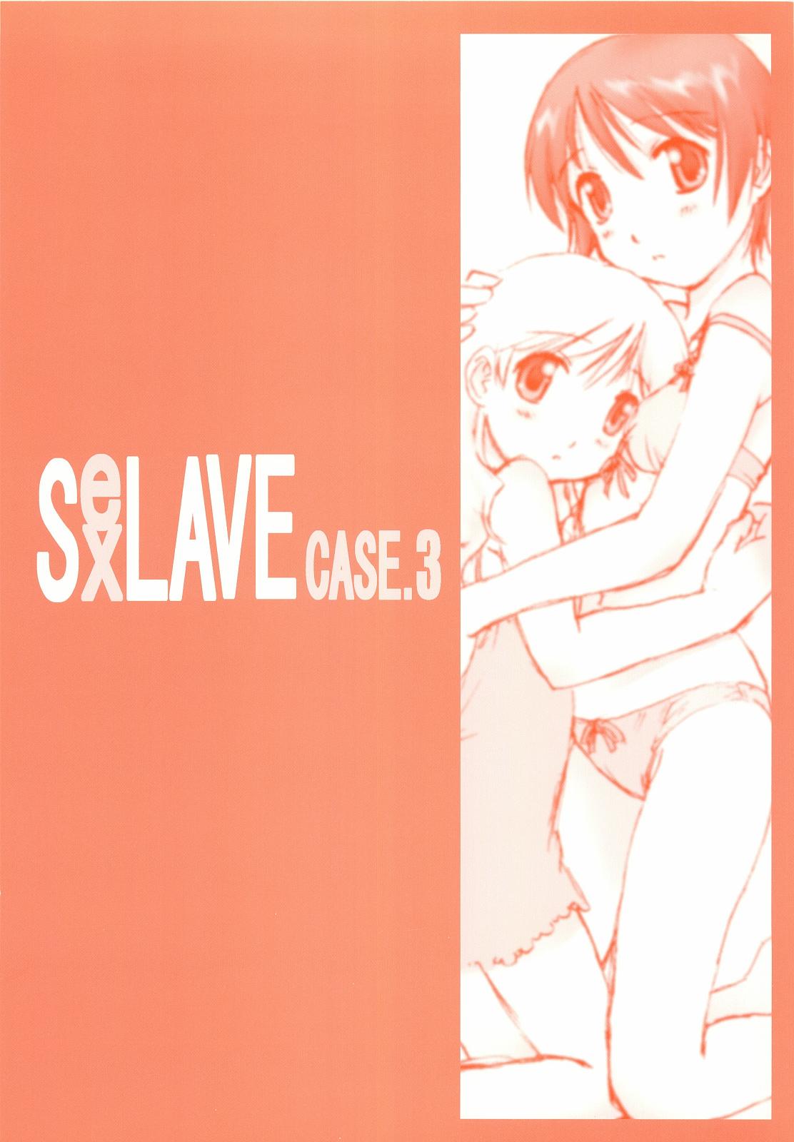 SexLAVE CASE.3 0