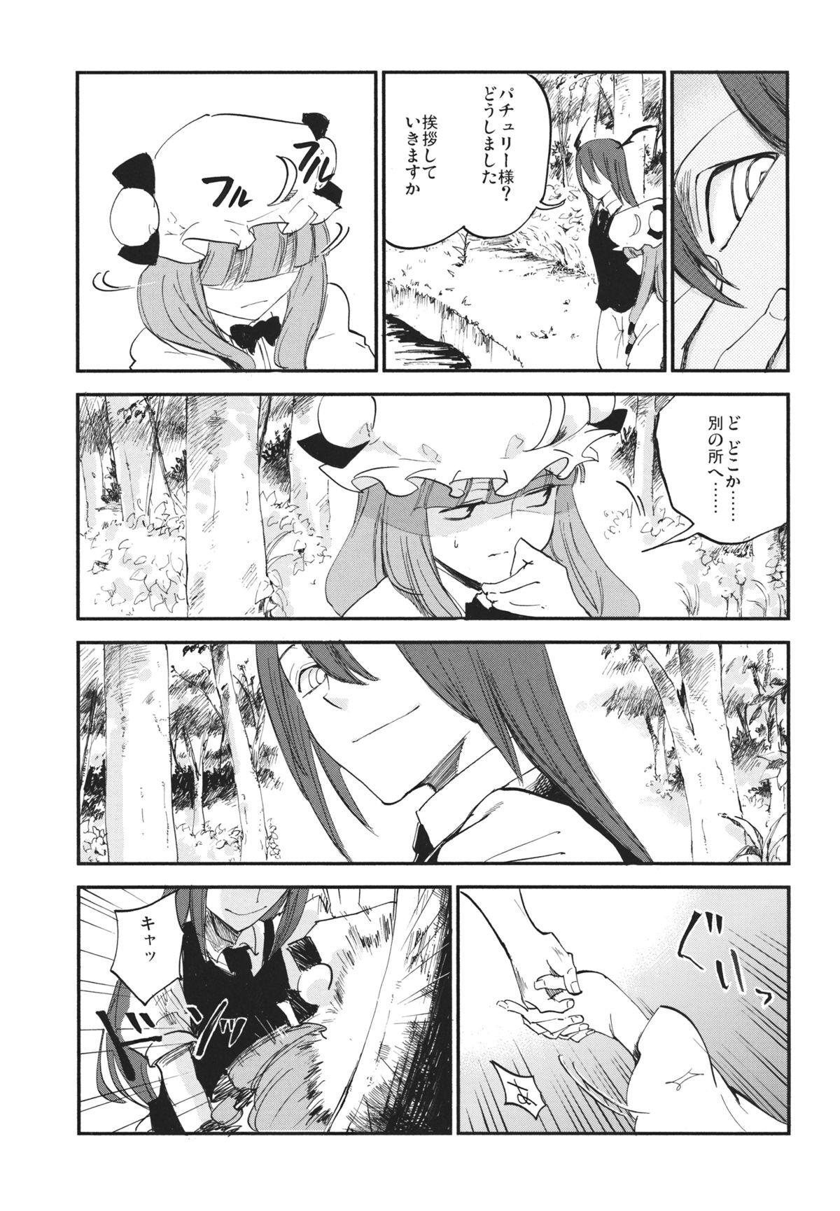 Porn Star Donten Library - Touhou project Hardcore - Page 12