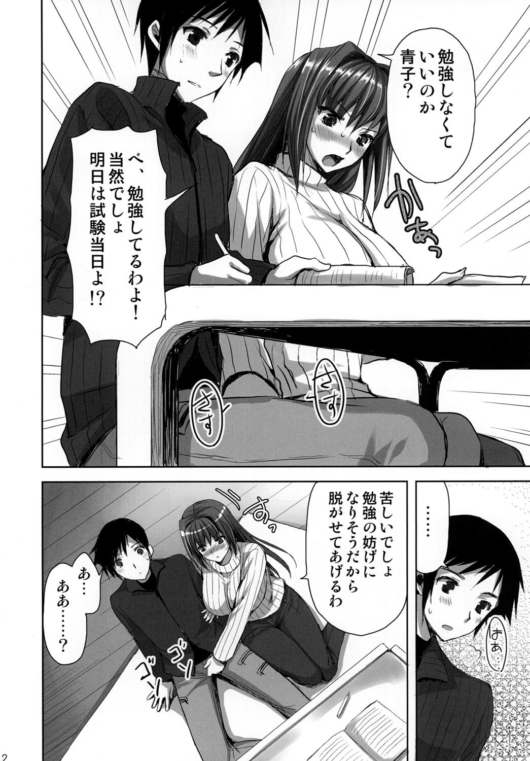 Costume Mahou Tsukai no Yotogi - Mahou tsukai no yoru Brunette - Page 11