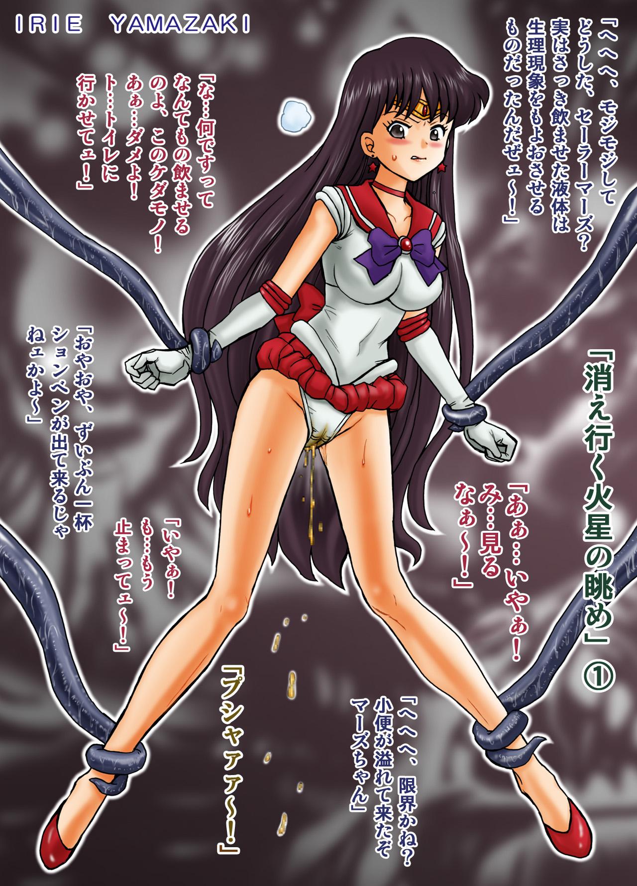 IRIE YAMAZAKI "Sailor Moon" Anal & Scatolo Sakuhinshuu Ver. 1 74